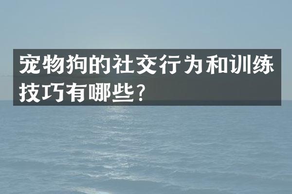 宠物狗的社交行为和训练技巧有哪些？