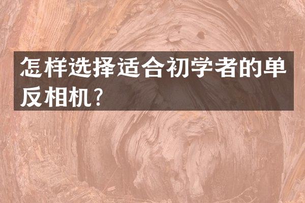 怎样选择适合初学者的单反相机？