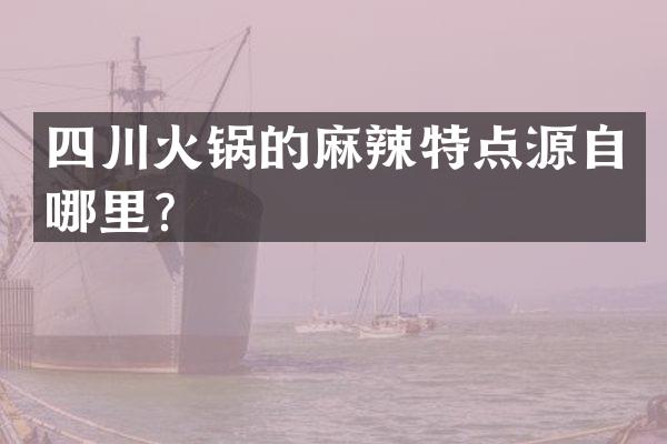 四川火锅的麻辣特点源自哪里？
