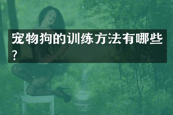 宠物狗的训练方法有哪些？