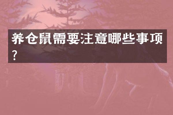 养仓鼠需要注意哪些事项？