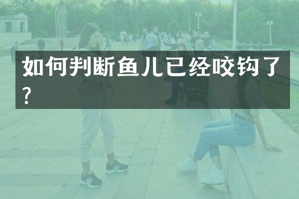 如何判断鱼儿已经咬钩了？