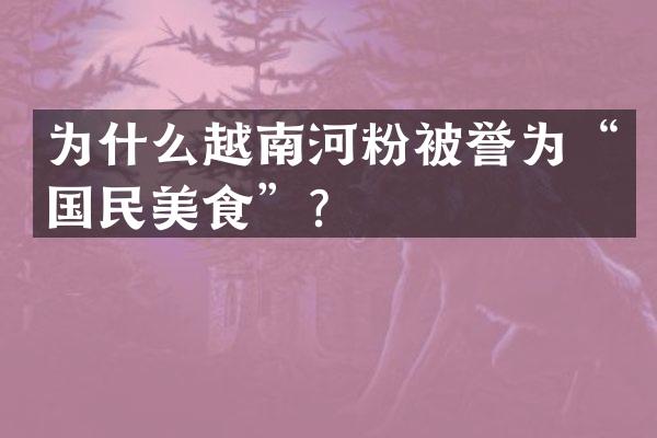 为什么越南河粉被誉为&ldquo;国民美食&rdquo;？