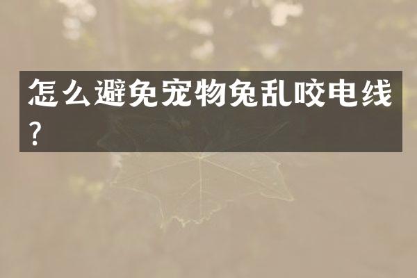 怎么避免宠物兔乱咬电线？