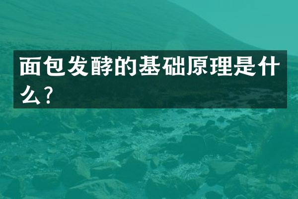 面包发酵的基础原理是什么？