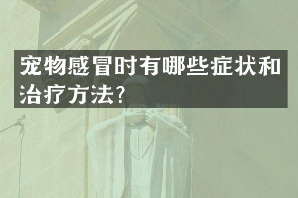 宠物感冒时有哪些症状和治疗方法？