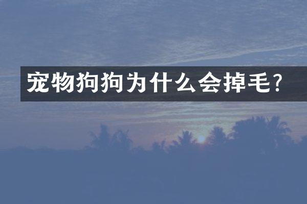 宠物狗狗为什么会掉毛？