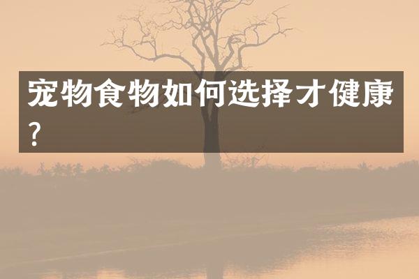 宠物食物如何选择才健康？