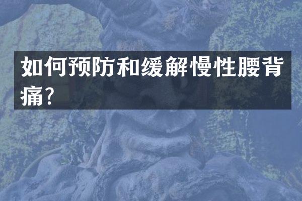 如何预防和缓解慢性腰背痛？