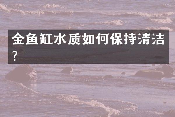 金鱼缸水质如何保持清洁？