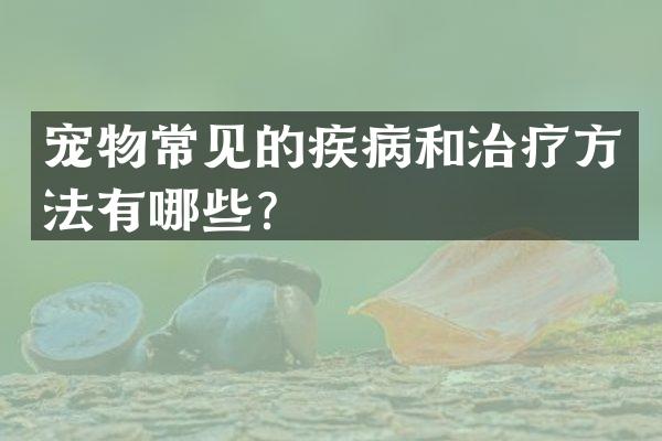 宠物常见的疾病和治疗方法有哪些？
