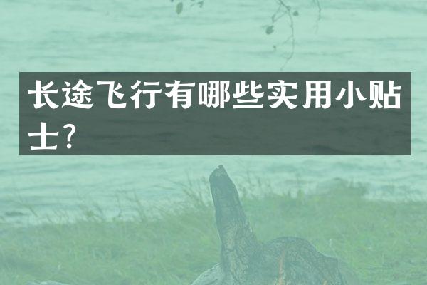 长途飞行有哪些实用小贴士？