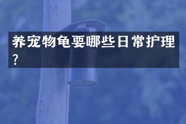 养宠物龟要哪些日常护理？