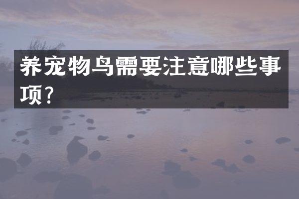 养宠物鸟需要注意哪些事项？