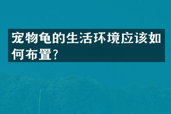 宠物龟的生活环境应该如何布置？
