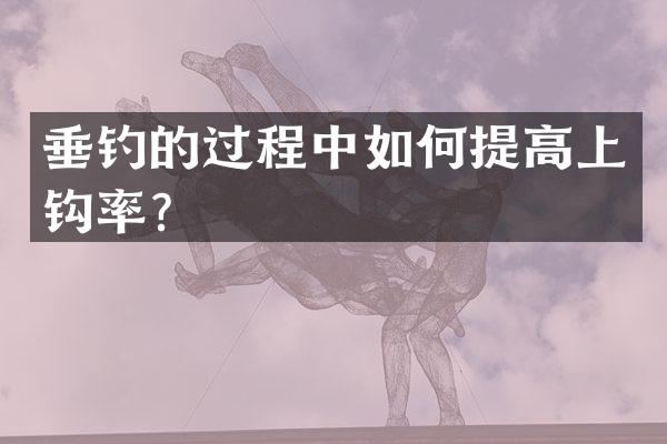 垂钓的过程中如何提高上钩率？