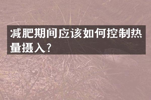 减肥期间应该如何控制热量摄入？