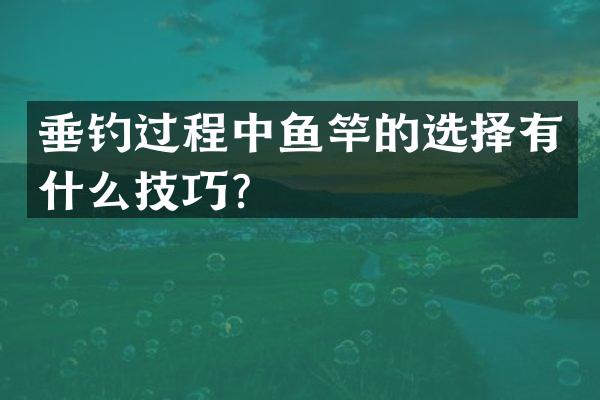 垂钓过程中鱼竿的选择有什么技巧？