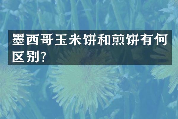 墨西哥玉米饼和煎饼有何区别？