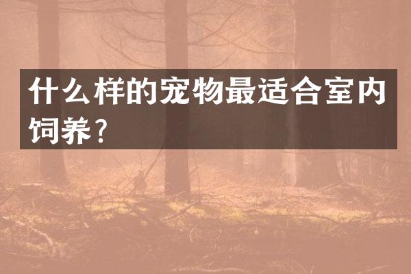 什么样的宠物最适合室内饲养？