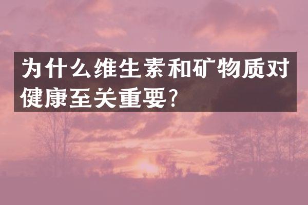 为什么维生素和矿物质对健康至关重要？