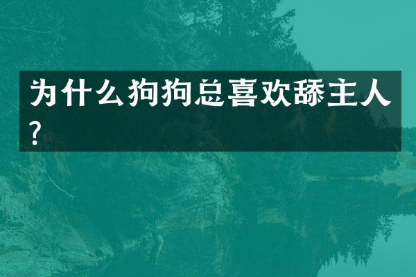 为什么狗狗总喜欢舔主人？