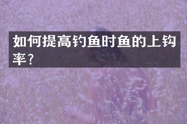 如何提高钓鱼时鱼的上钩率？