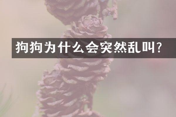 狗狗为什么会突然乱叫？