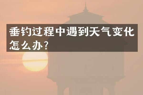 垂钓过程中遇到天气变化怎么办？