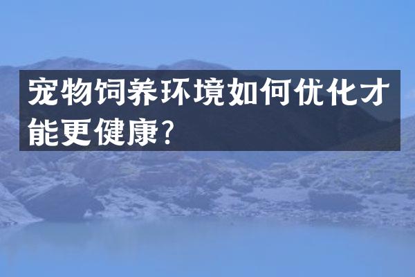 宠物饲养环境如何优化才能更健康？
