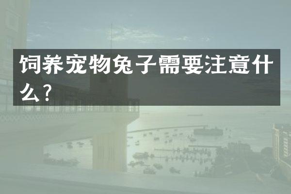 饲养宠物兔子需要注意什么？