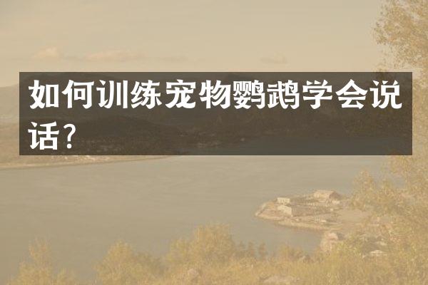 如何训练宠物鹦鹉学会说话？