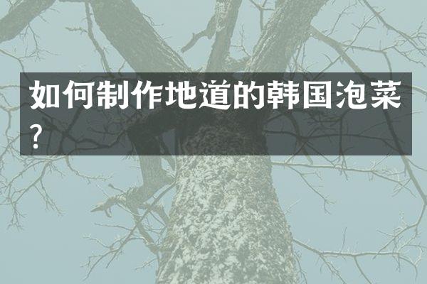 如何制作地道的韩国泡菜？
