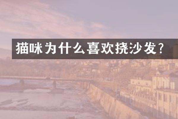 猫咪为什么喜欢挠沙发？