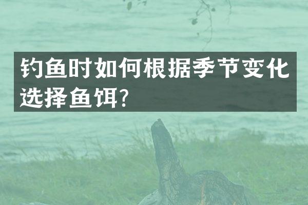 钓鱼时如何根据季节变化选择鱼饵？