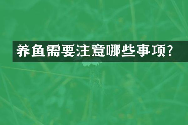 养鱼需要注意哪些事项？