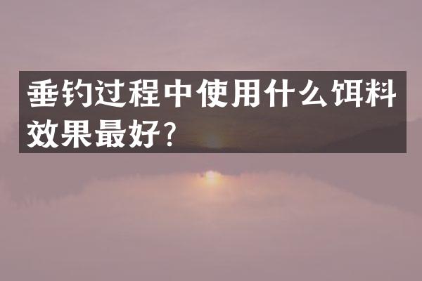 垂钓过程中使用什么饵料效果最好？
