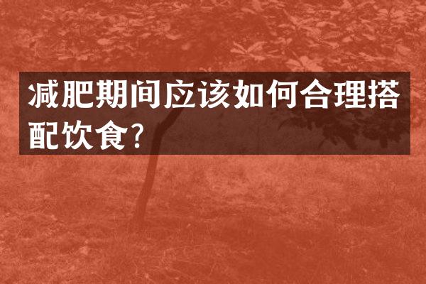 减肥期间应该如何合理搭配饮食？