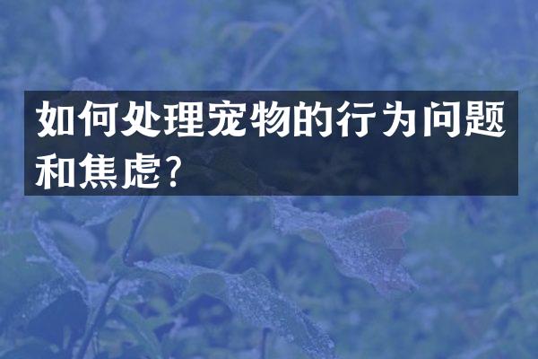 如何处理宠物的行为问题和焦虑？