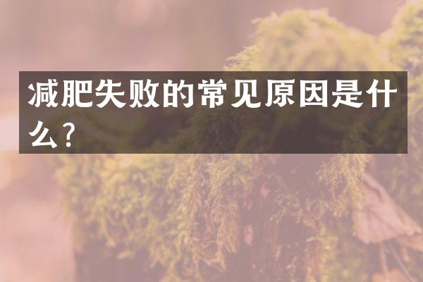 减肥失败的常见原因是什么？