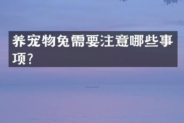 养宠物兔需要注意哪些事项？