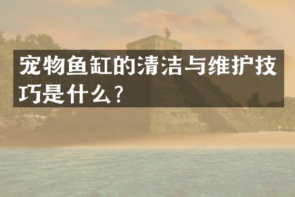 宠物鱼缸的清洁与维护技巧是什么？