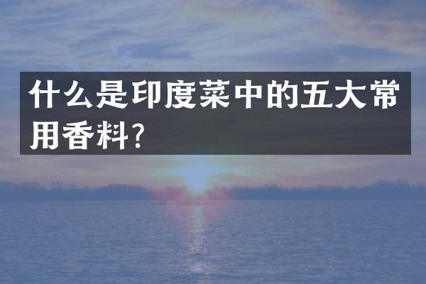 什么是印度菜中的五大常用香料？