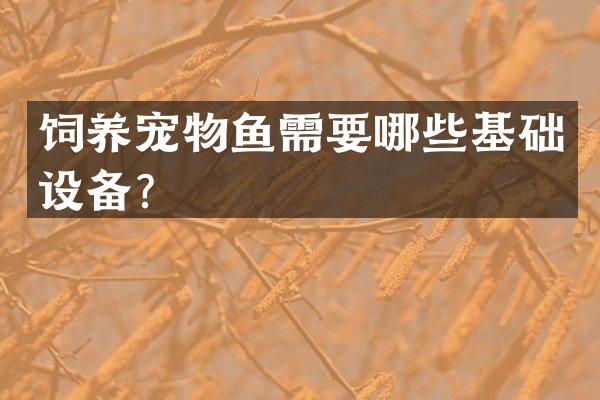 饲养宠物鱼需要哪些基础设备？