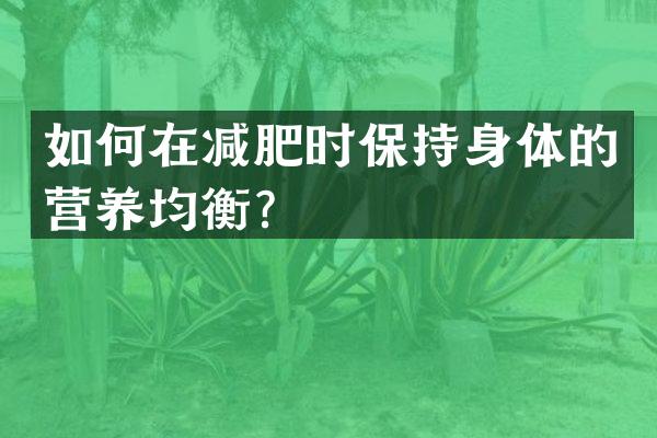 如何在减肥时保持身体的营养均衡？