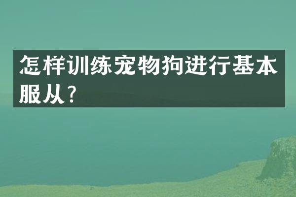 怎样训练宠物狗进行基本服从？