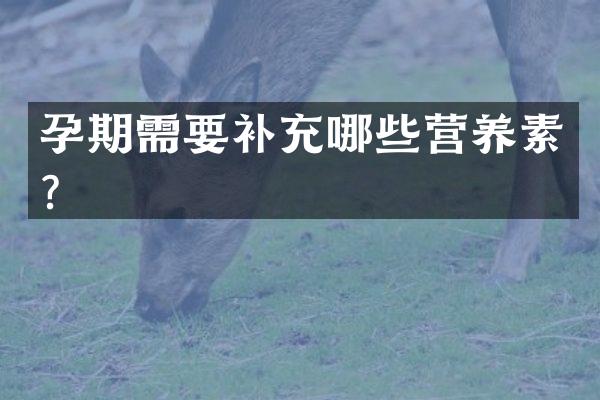 孕期需要补充哪些营养素？