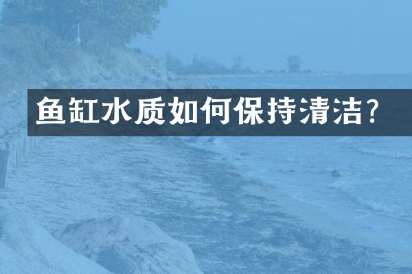 鱼缸水质如何保持清洁？