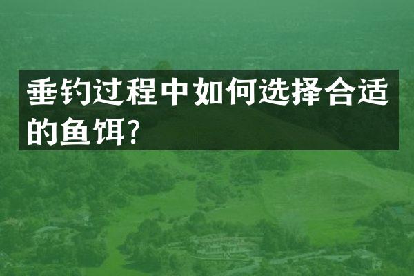 垂钓过程中如何选择合适的鱼饵？
