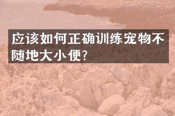 应该如何正确训练宠物不随地大小便？
